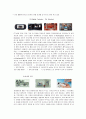 대한민국 차세대 10대 성장동력 11페이지