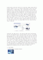 대한민국 차세대 10대 성장동력 21페이지