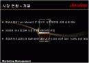 LG전자의 초콜렛폰 마케팅사례분석(A+레포트) 3페이지