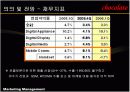 LG전자의 초콜렛폰 마케팅사례분석(A+레포트) 22페이지