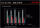 LG전자의 초콜렛폰 마케팅사례분석(A+레포트) 23페이지