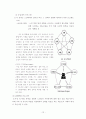노인학대의 현황과 대책에 관한 연구 12페이지