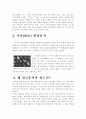 문자의 기원(갑골문) 4페이지
