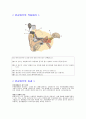 인공와우 8페이지