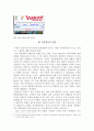 한류열풍 분석 6페이지