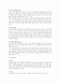 국제법의 국내적 효력 4페이지