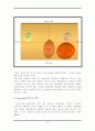 수타면 마케팅전략분석(A+레포트) 16페이지