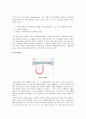 [공학/컴퓨터/통신] 유체유동 실험(Reynolds number, 손실두 측정)예비보고서 4페이지