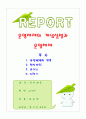 운영체제의 개념설명과 운영체제 1페이지