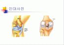 인대, 근육, 힘줄, 차이점 ppt 4페이지
