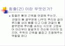 인대, 근육, 힘줄, 차이점 ppt 5페이지