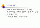 인대, 근육, 힘줄, 차이점 ppt 7페이지