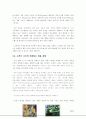 [브랜드마케팅]LG에어컨 휘센의 브랜드마케팅 (A+리포트) 23페이지