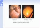 청소년과 술 9페이지