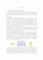 삼성전자의 조직구조론 5페이지