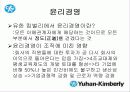 한국기업의 희망 『유한킴벌리』조직분석 45페이지