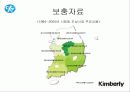 한국기업의 희망 『유한킴벌리』조직분석 55페이지