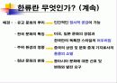 한류의 허와 실 6페이지