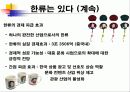 한류의 허와 실 9페이지