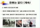한류의 허와 실 13페이지