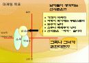 산사춘의 STP 전략 (A+ Report) 9페이지