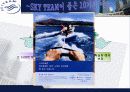 Sky Team - Symbiotic mkg 전략적 제휴 사례 조사 10페이지