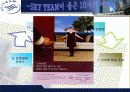 Sky Team - Symbiotic mkg 전략적 제휴 사례 조사 11페이지