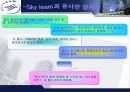 Sky Team - Symbiotic mkg 전략적 제휴 사례 조사 13페이지