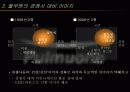 풀무원의 마케팅 전략(A+ Report) 5페이지