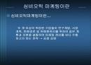 전략적 제휴 마케팅 사례 - 스타 얼라이언스 (StarAlliances) 2페이지