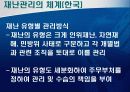 도시재난관리-재난관리 체계의 문제점 및 개선 방향 12페이지