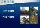 도시재난관리-재난관리 체계의 문제점 및 개선 방향 25페이지