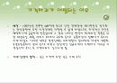 소비자의 심리를 파고들자 - 시각, 소리, 가격파괴 마케팅 10페이지