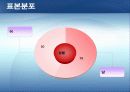 소주 처음처럼 - 성공을 위한 마케팅 전략 13페이지