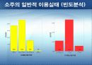소주 처음처럼 - 성공을 위한 마케팅 전략 15페이지