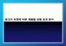 광고의 유형에 따른 제품별 성별 효과 분석 1페이지