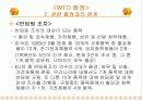 WTO에 대한 협정 17페이지