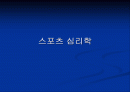 스포츠 심리학 1페이지