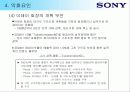 소니의 마케팅 전략 분석 13페이지