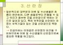 인공어초에 대해서 9페이지