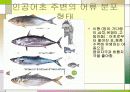 인공어초에 대해서 13페이지