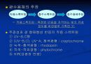 조류의 광운동 반응 3페이지