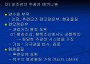 조류의 광운동 반응 11페이지