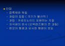 조류의 광운동 반응 15페이지