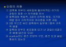 조류의 광운동 반응 21페이지