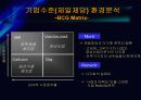 CJ Entertainment 의 마케팅 전략 분석 10페이지