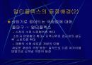 CGV의 마케팅 전략 분석 7페이지