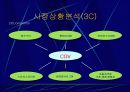 CGV의 마케팅 전략 분석 14페이지