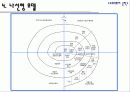 나선형 모델의 발전과 강화 11페이지