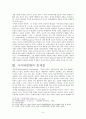 사이버문화 [분석/조사]  6페이지
